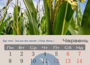 006calendar2015_cerven