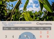008calendar2015_serpen
