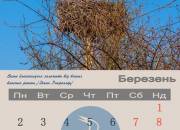 003calendar2015_berezen