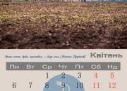004calendar2015_kviten